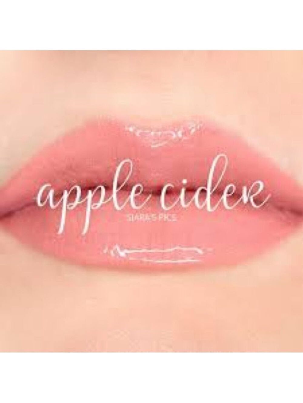 LIPSENSE By SeneGence. Color: Apple Cider. Long lasting lip color.